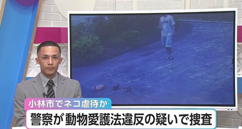 防犯カメラが捉えた「ネコ虐待の瞬間」　ネコの親子を追い回し生後1カ月の子猫が蹴り飛ばされる　動物愛護法違反等で捜査｜FNNプライムオンライン