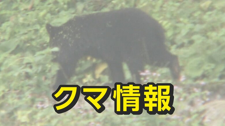 富山市大沢野で2日連続クマ目撃 住宅団地や認定こども園の近く、警察が警戒強化|FNNプライムオンライン