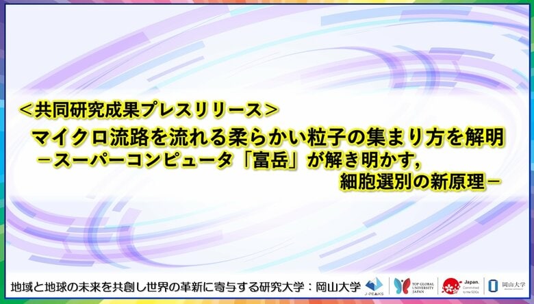 マイクロ流路を流れる柔らかい粒子の集まり方を解明-スーパーコンピュータ「富岳」が解き明かす,細胞選別の新原理-〔大阪大学, 理化学研究所, 関西大学, 岡山大学〕