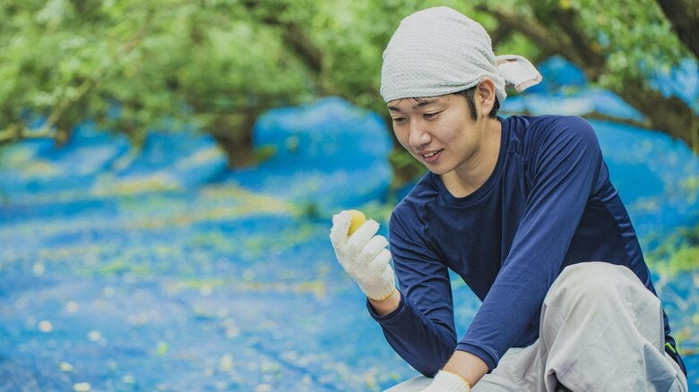 塩とシソだけで漬けた梅干しを残したい！「梅ボーイズ」山本将志郎さんのやりがいを生み出す若手の農業参入への土台作り｜FNNプライムオンライン