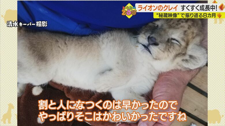 清水キーパー撮影