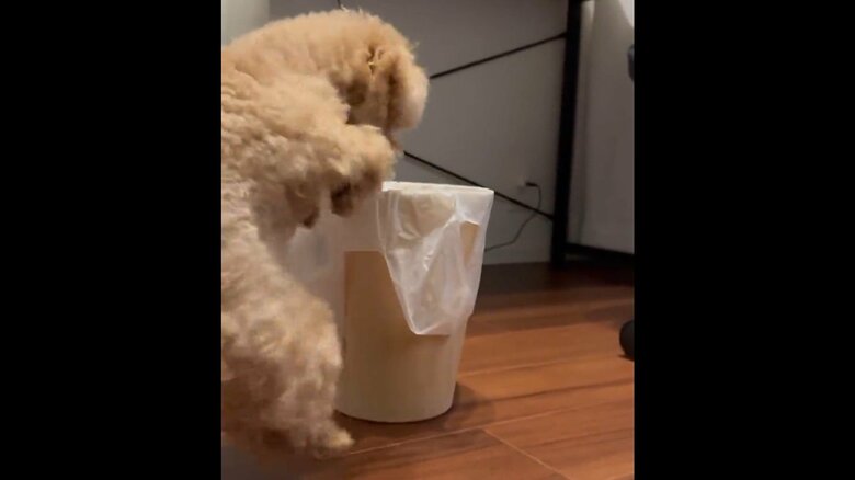 謎の儀式感も出ていた