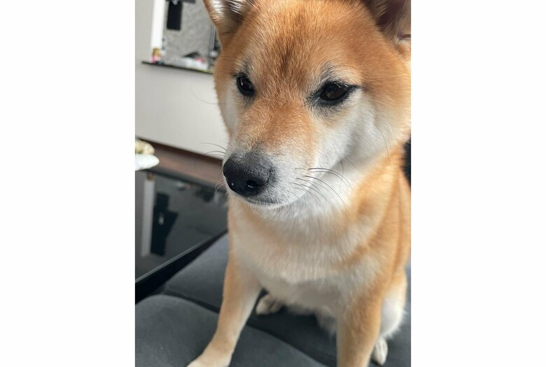 提供：赤柴いちさん