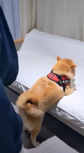 提供：natsumi.nnnさん