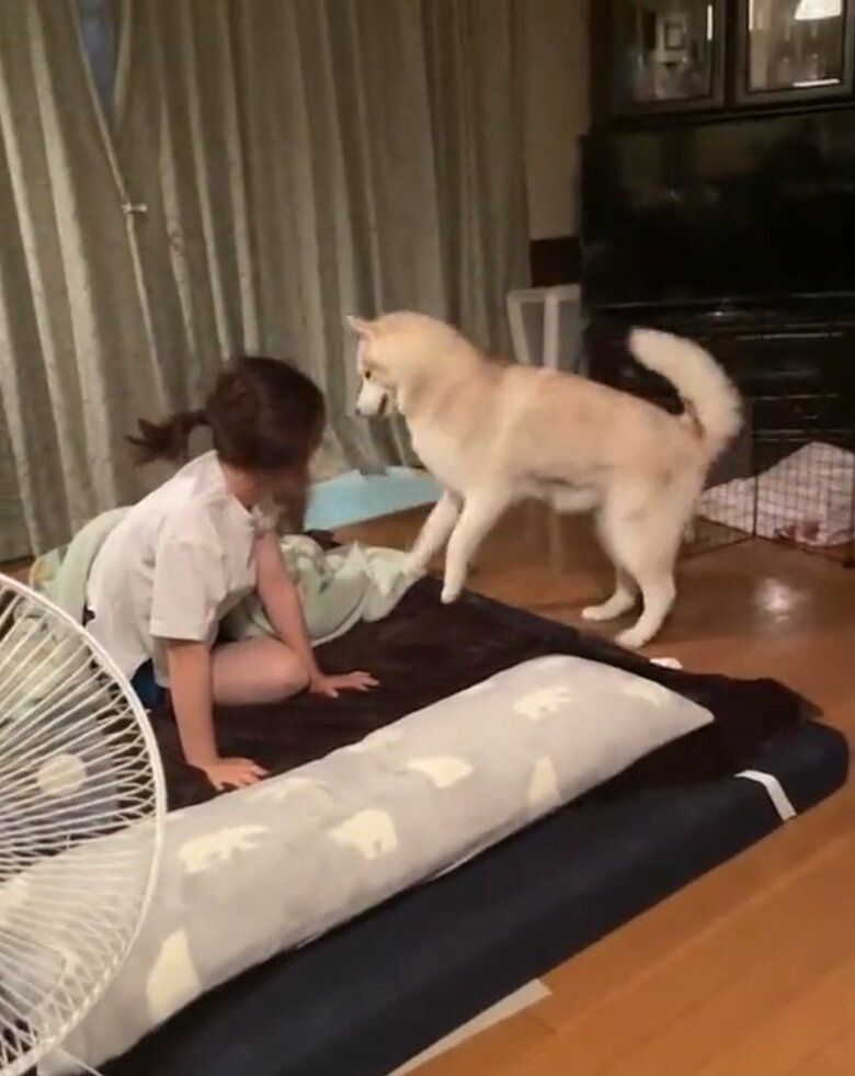 提供：ココとイチのままちゃん