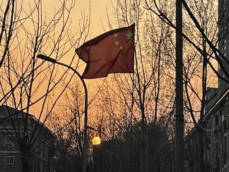 果たして中国の先行きは…