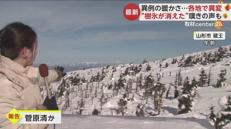 緑や茶色が目立つ19日午前の山形蔵王のようす