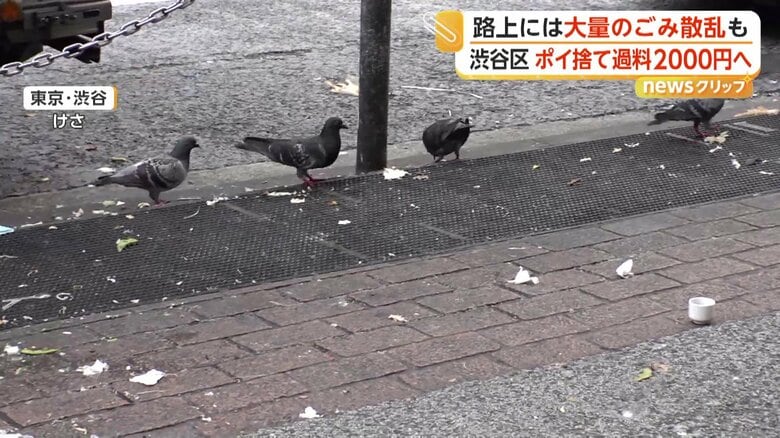 捨てられたごみに群がっていたハト