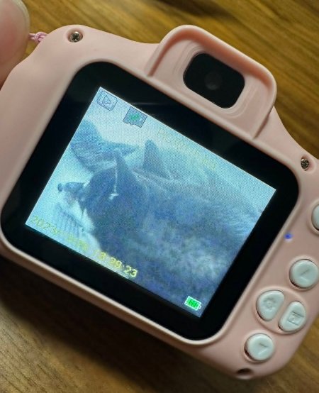 ふわふわな頭をアップで激写！