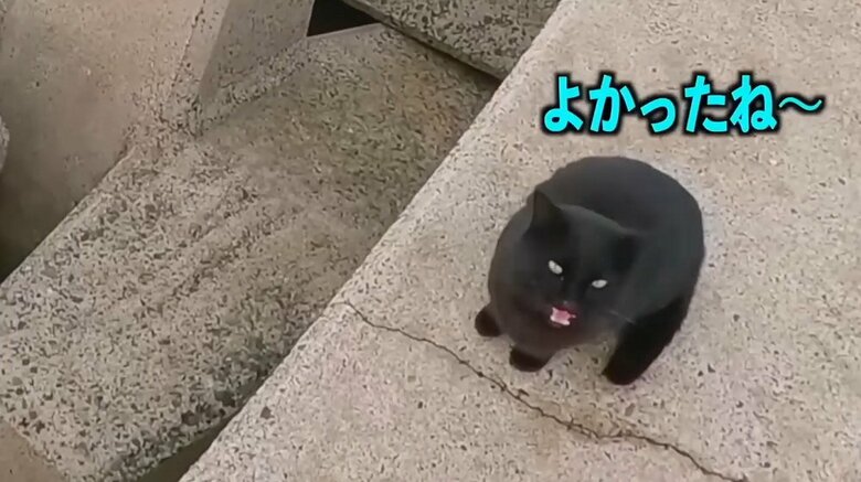 黒ちゃんも「よかったね～」とうれしそう