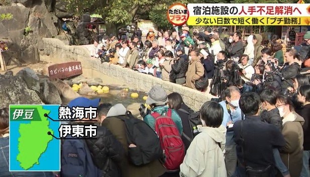 伊東市の観光施設