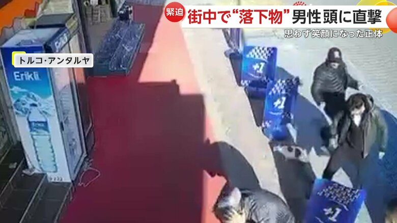 男性の頭にネコが落ちてきた瞬間