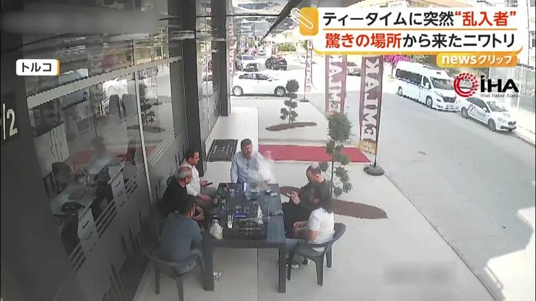 突然の乱入者が現れたティータイム（トルコ）