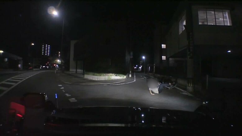 映像提供：国立大学法人東京農工大学スマートモビリティ研究拠点