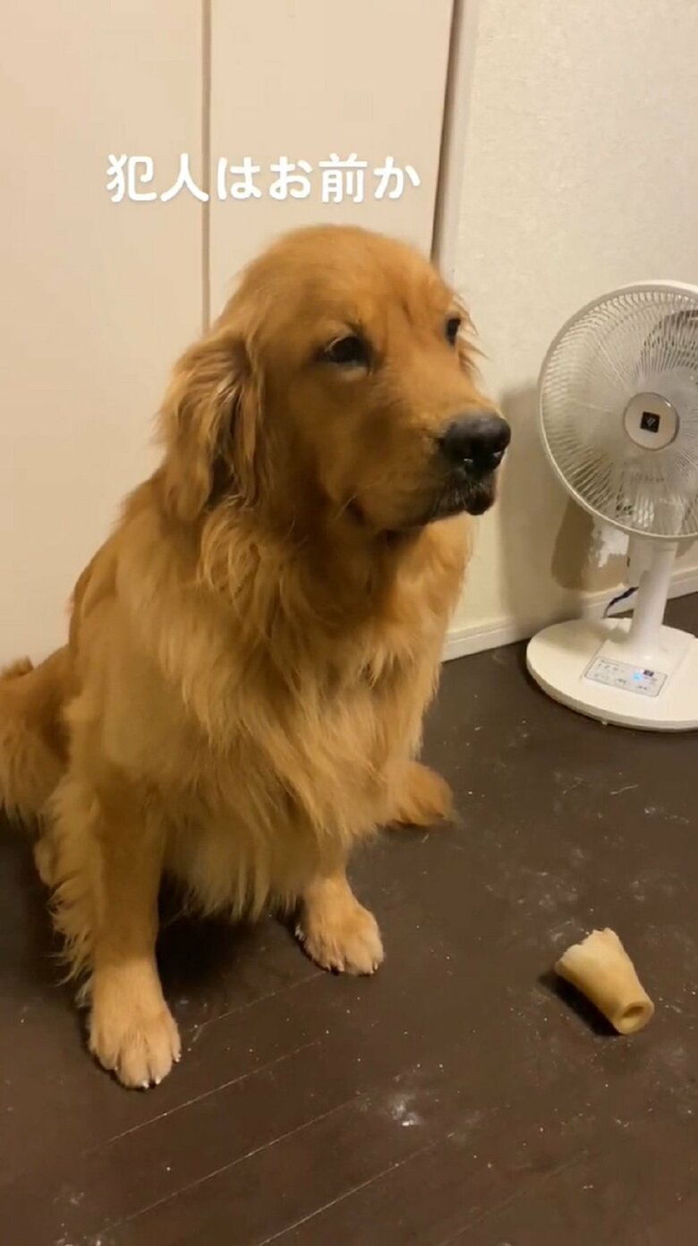 「犯人はお前か」