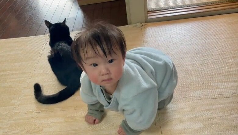 キョトン顔の息子さん