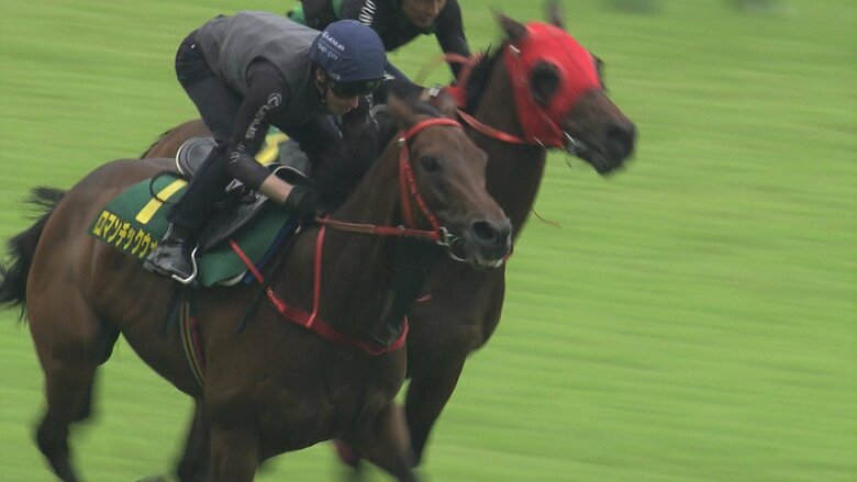 調教を行う ロマンチックウォリアー