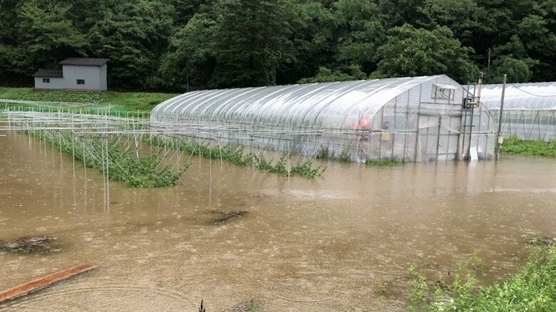 大雨による浸水被害を受けた農園（本人提供）
