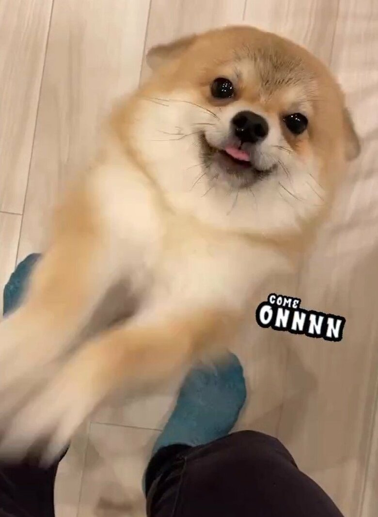 感情表現が豊か。テンションが上がっている時