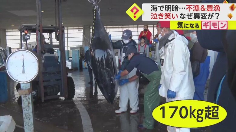 中には大物も