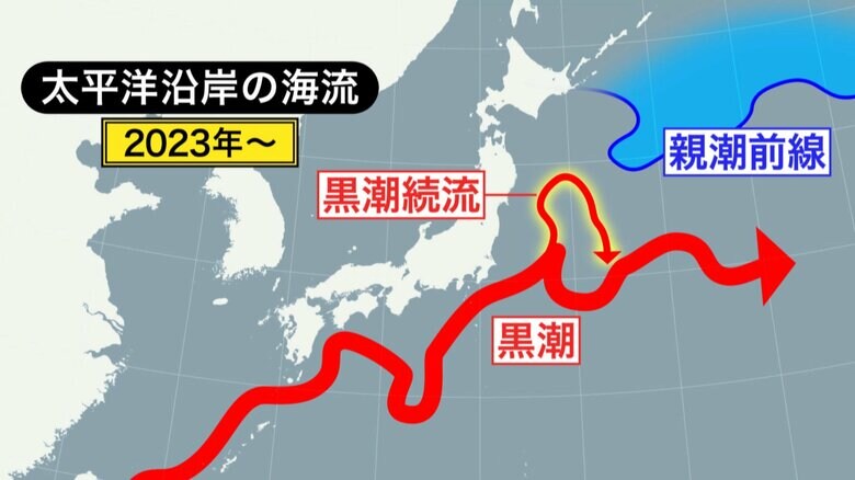黒潮の支流「黒潮続流」が東北沖に