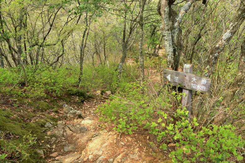 山王丸裏。現在は登山道は整備されているが急峻
