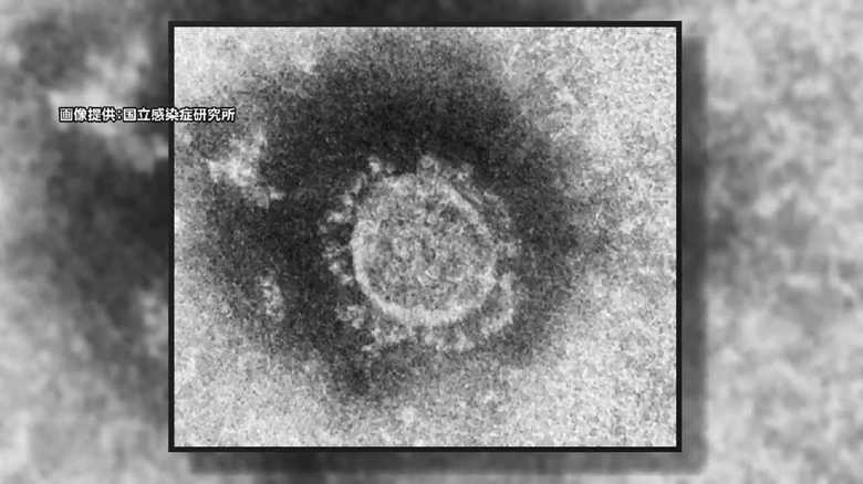 「死亡者数の最小化が最優先課題だ」ウイルス対策の第一人者が提言