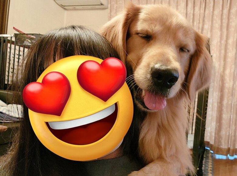 提供：Charlotte@ゴールデンレトリバーさん