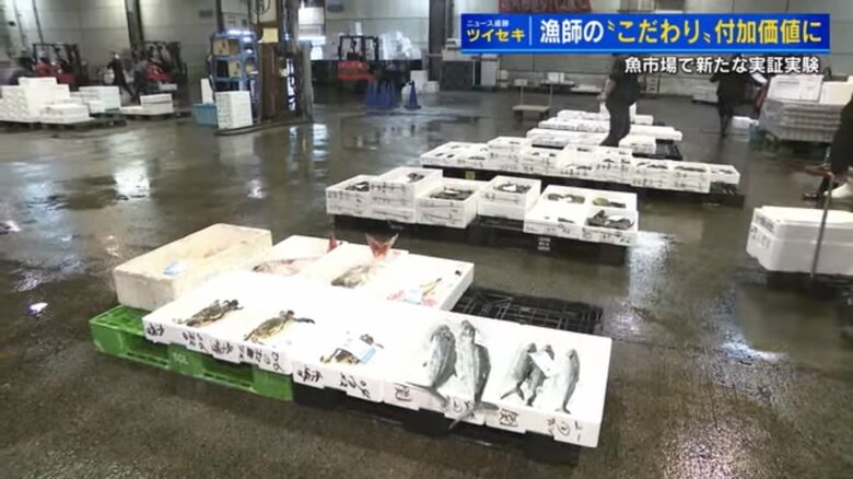広島市中央卸売市場