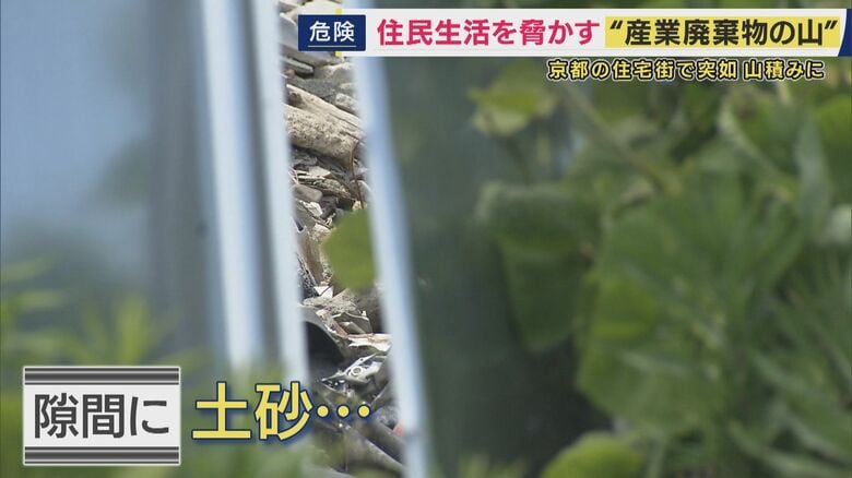 塀の隙間から…