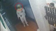 【映像】防カメに白い服の不審人物　直後に店舗で現金盗まれる　半径150メートル以内で被害相次ぐ　埼玉で連続窃盗か