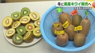 冬でも売れる県産果物を!福井県とJAがキウイ栽培の研修会 秋の収穫後も長く保存が可能で生産者増へ