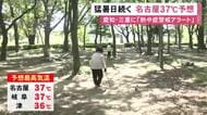 午前中から各地で猛暑日…15日も東海3県は危険な暑さとなる見込み 日中の予想最高気温は名古屋と岐阜で37度