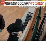 客に拳銃向け威嚇…高額ポケモンカード強奪の一部始終　ニューヨークのポケカ専門店で被害総額約1600万円
