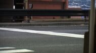 白バイの警察官が職務質問の車に引きずられ骨折などの重傷　車は逃走中　殺人未遂などの疑いで捜査続く　大阪市