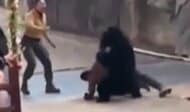 「噛もうとしている！」クマが飼育員を突然襲う　“動物ショー”を観客が見守る前で…動物園「飼育員とクマにケガなし」中国