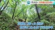 サントリーが20年続ける水育 小学生が地下水やそれを育む森の大切さ学び未来へつなげる 大人の水育も初開催