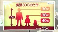 【天気／山形】子ども38℃・ペット40℃＆20日の詳しい天気　中村友祐気象予報士の天気予報(2)