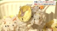 湯沢市観光栗園で秋の味覚「クリ」拾いいかが　限定のクリグルメも登場！　秋田県・湯沢市