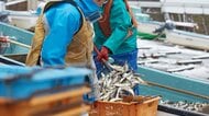 医師よりも少なく高齢化が進む漁業者。生鮮食品が手に入りにくくなるリスクと限られた資源を有効に活用するスーパーの取り組み