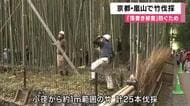 【速報】京都・嵐山で竹林を伐採　竹への落書き被害防ぐため　京都市　今後、伐採範囲を広げるか検討