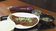 “特大ナス”定食やに“太く短いキュウリ”冷製パスタ…伝統野菜メニュー味わう「スタンプラリー」開催【長野発】