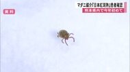 マダニが媒介する感染症「日本紅斑熱」患者が熊本県内で今年初めて確認
