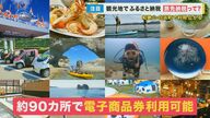 寄付は旅先の現地で！返礼品は“その場で使える”電子商品券　新しいふるさと納税「旅先納税」【和歌山発】