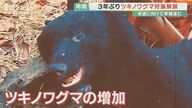 出没相次ぐ「クマ」京都で兵庫で…　人や愛犬が襲われる被害も　狩猟が3年ぶりに解禁　【京都発】
