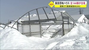 大雪被害あらわに…園芸団地でハウス全144棟が全壊 秋田・横手市