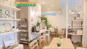 「助けて!」と言える社会に…介護の悩みを分かち合うカフェ【広島発】