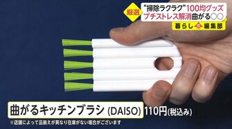 新生活の始まりに掃除 片付けのプチストレスを解消 オススメの100均グッズ活用術