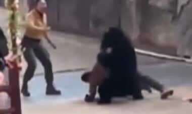 「噛もうとしている！」クマが飼育員を突然襲う　“動物ショー”を観客が見守る前で…動…