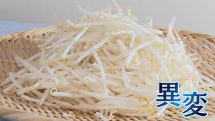 なぜ?「家計の強い味方」モヤシが消える!? “安い価格”が大きな魅力も…生産者「非常に厳しい状況だ」【福岡発】